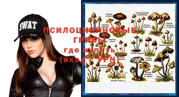 MDMA Premium VHQ Белокуриха
