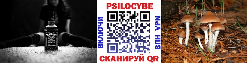 Галлюциногенные грибы Psilocybe  Кушва 